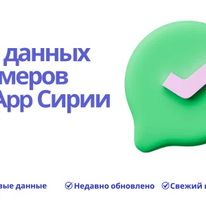 База данных номеров WhatsApp Сирии