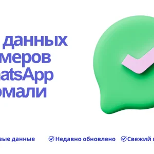 База данных номеров WhatsApp Сомали