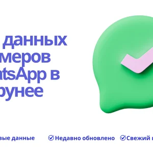 База данных номеров WhatsApp в Брунее
