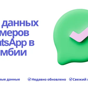 База данных номеров WhatsApp в Гамбии