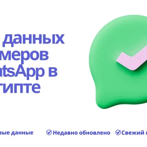 База данных номеров WhatsApp в Египте
