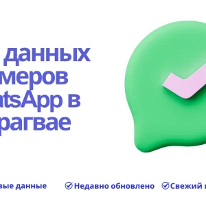 База данных номеров WhatsApp в Парагвае