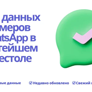 База данных номеров WhatsApp в Святейшем Престоле